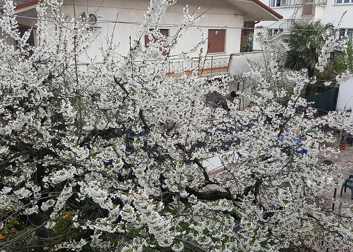 Bed & Breakfast Gasiso 3*